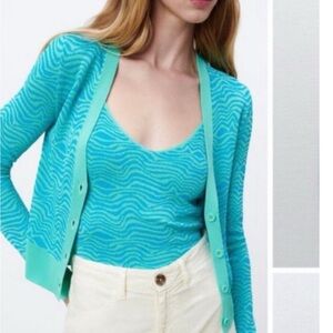 Zara NWT blue wave long sleeve zebra jacquard print cropped sweater set